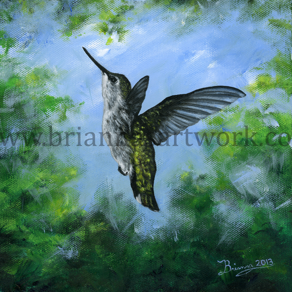 Hummingbird-Forest-low